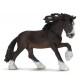 Stallone Shire - Schleich 13734