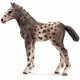 Puledro  KNABSTRUPPER - Schleich 13760