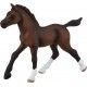 Puledro Arabo - Schleich 13762