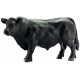 Toro Black Angus - Schleich 13766