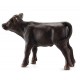 Vitello Black Angus - Schleich 13768