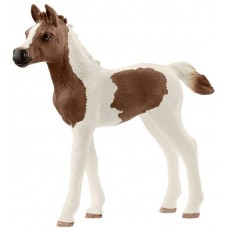 Puledro Arabo Pinto - Schleich 13839