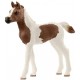 Puledro Arabo Pinto - Schleich 13839