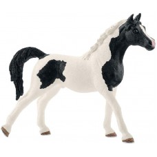 Stallone Arabo Pinto - Schleich 13840