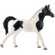 Stallone Arabo Pinto - Schleich 13840