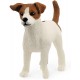 Jack Russel - Schleich 13916