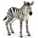 Puledro di Zebra - Schleich 14811