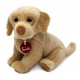 Labrador Joe - Trudi 22875